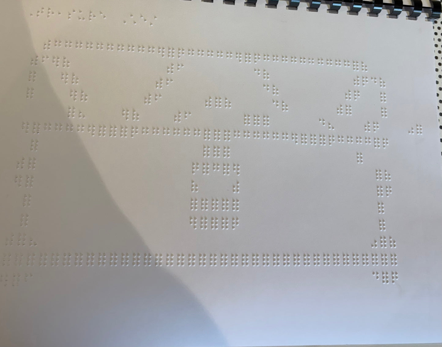 Braille Picture Book