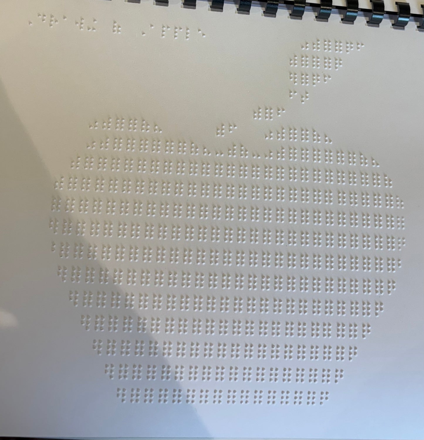 Braille Picture Book