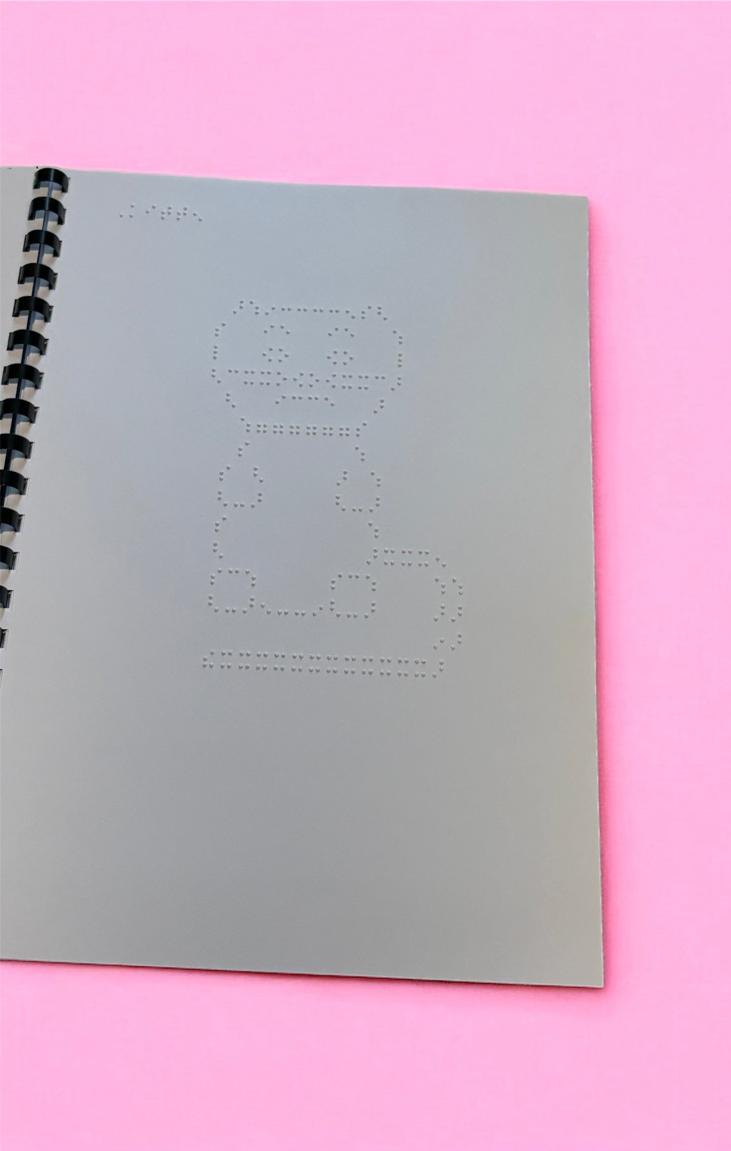Animals, nature and Vehicles Braille Picture Book