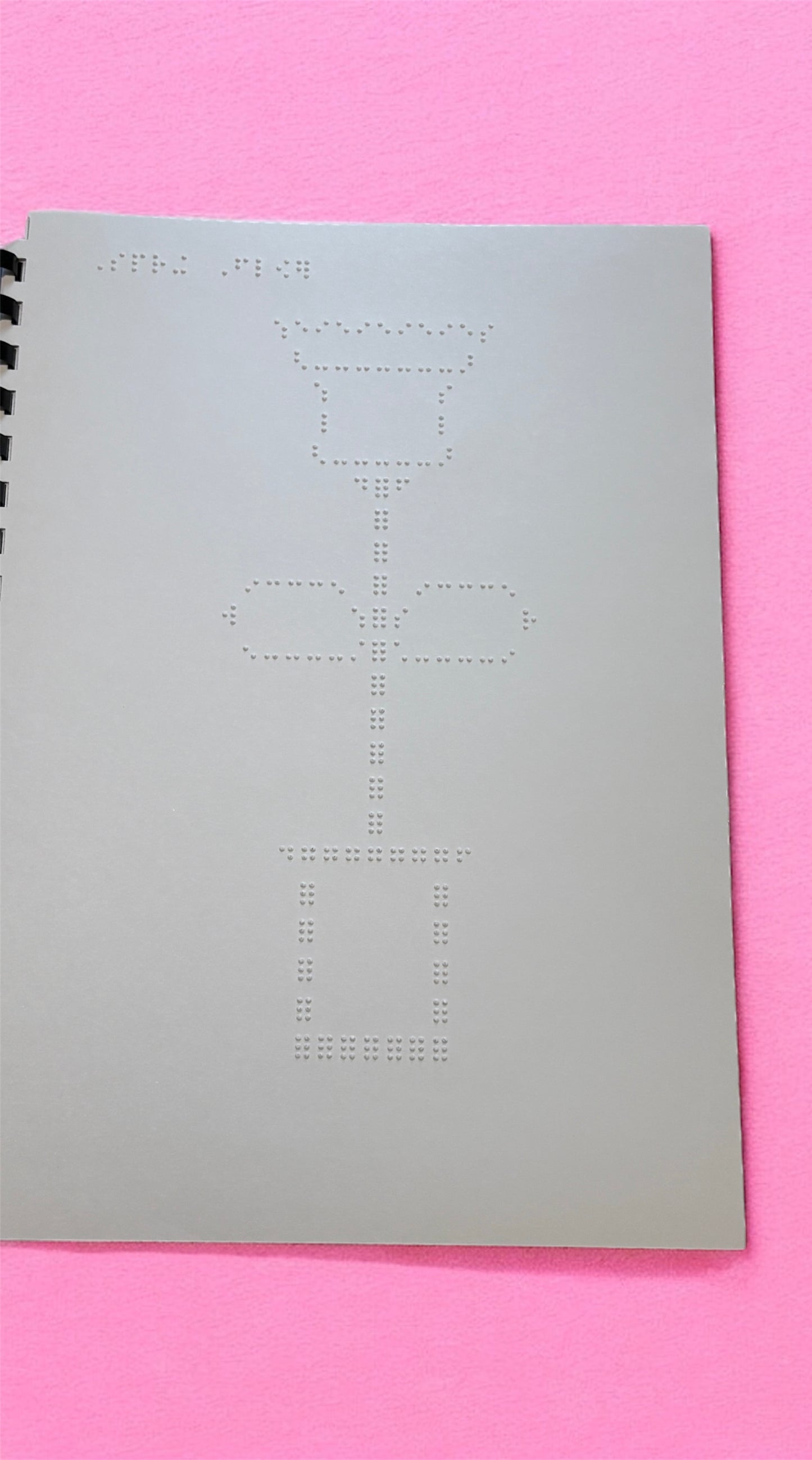 Animals, nature and Vehicles Braille Picture Book