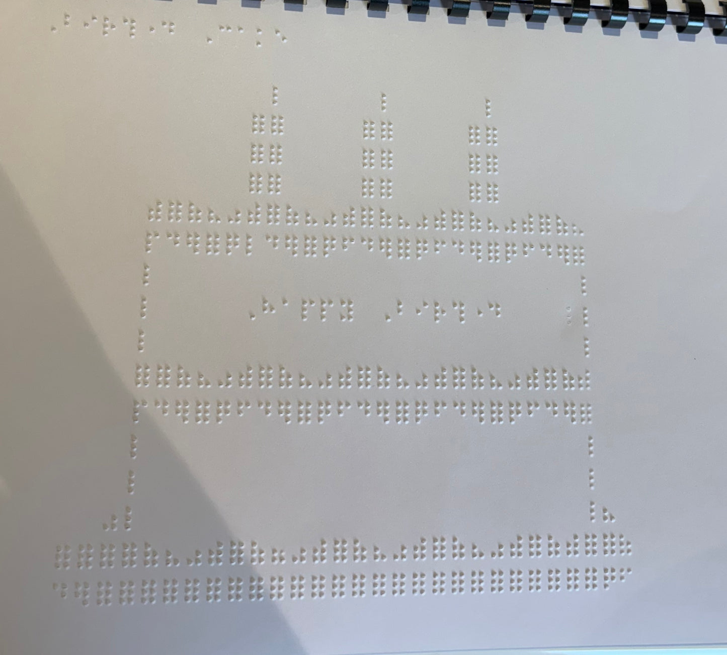 Braille Picture Book