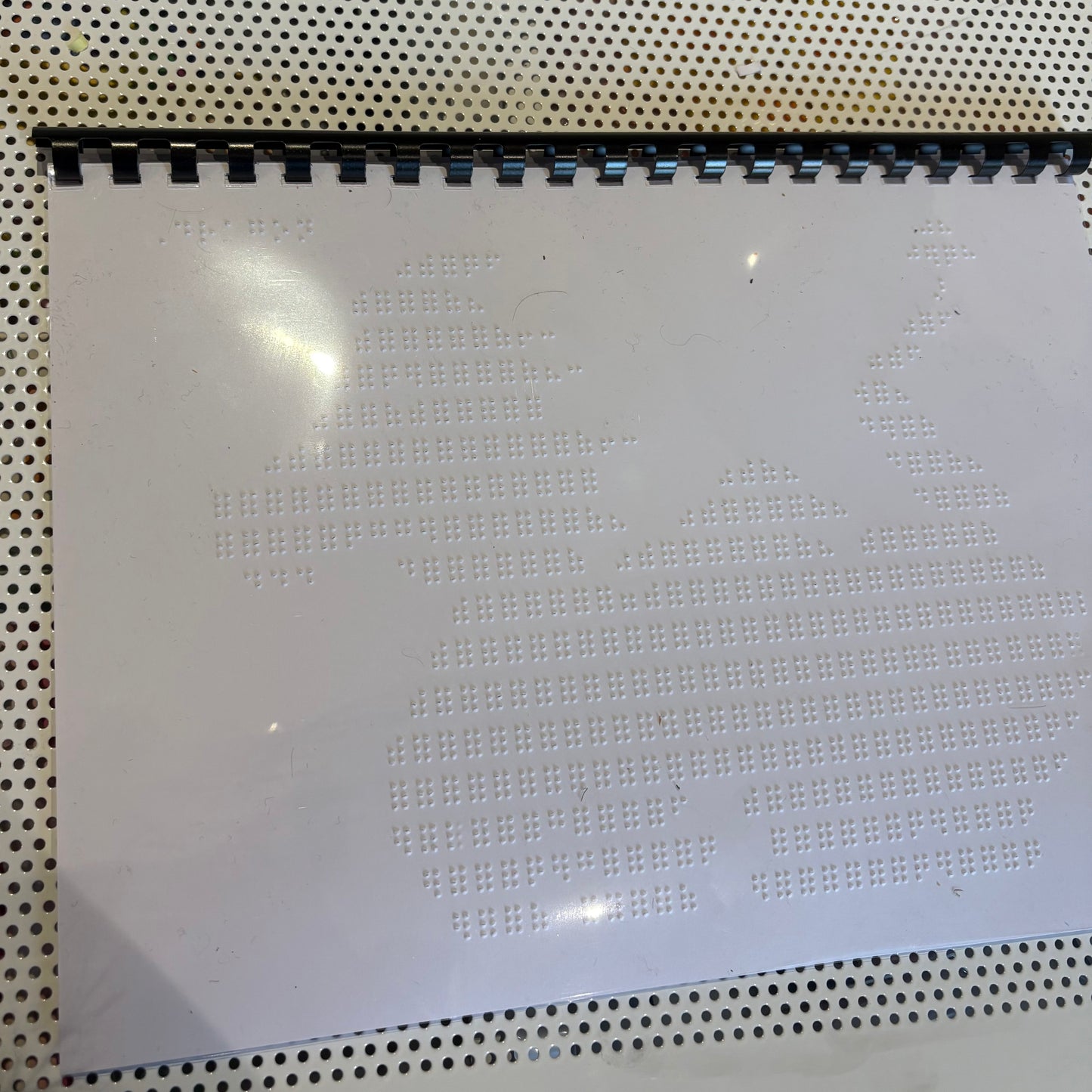 Braille Picture Book