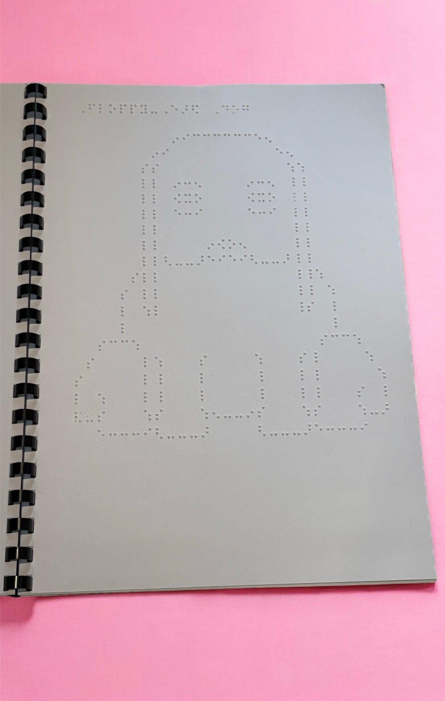 Animals, nature and Vehicles Braille Picture Book
