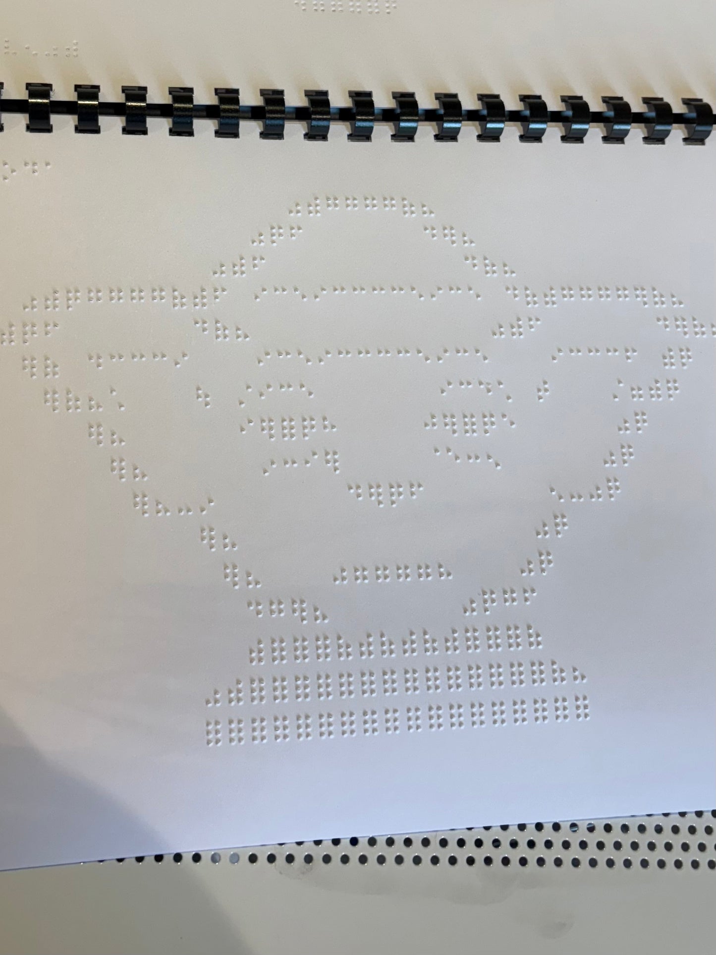 Braille Picture Book