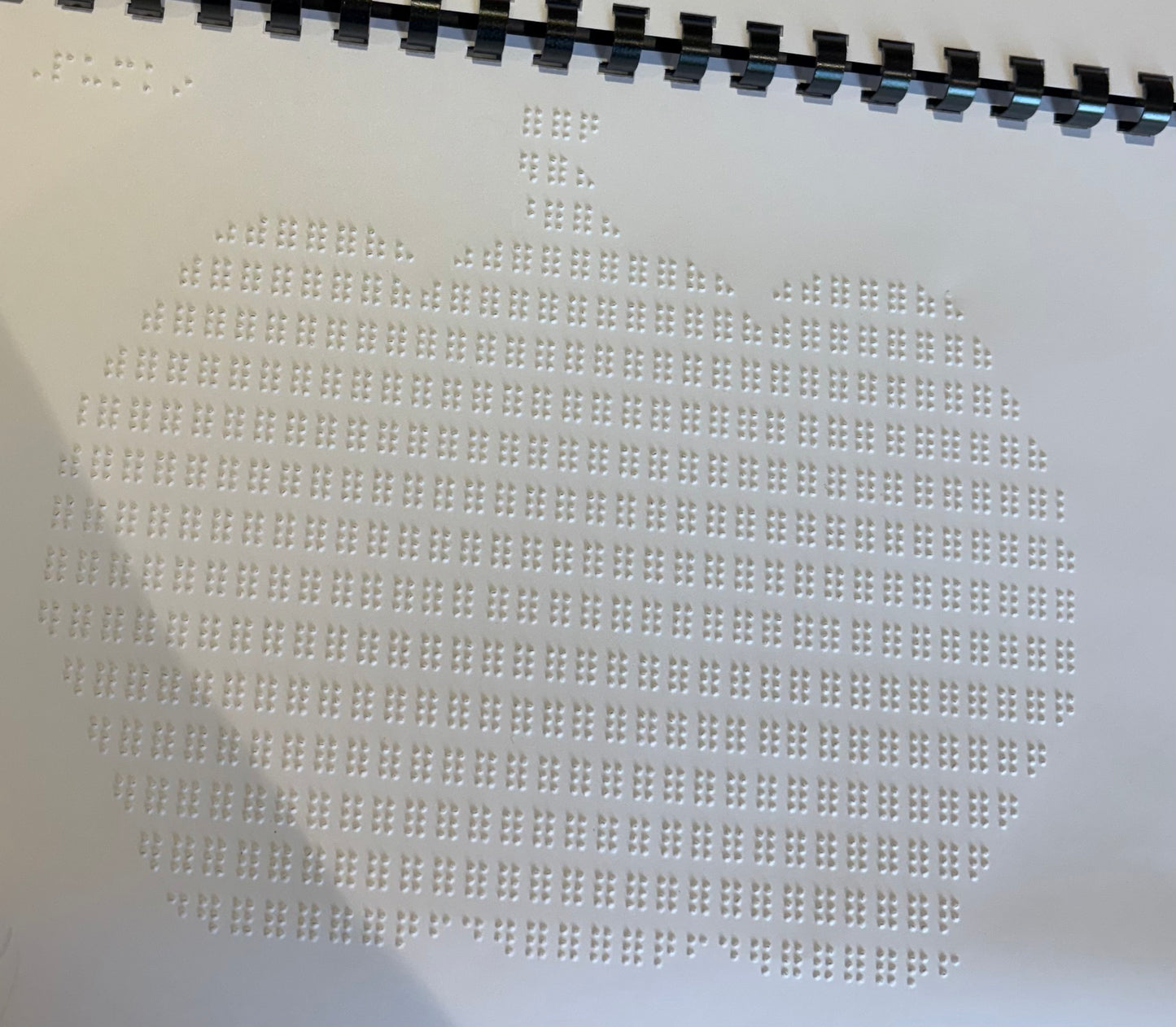 Braille Picture Book
