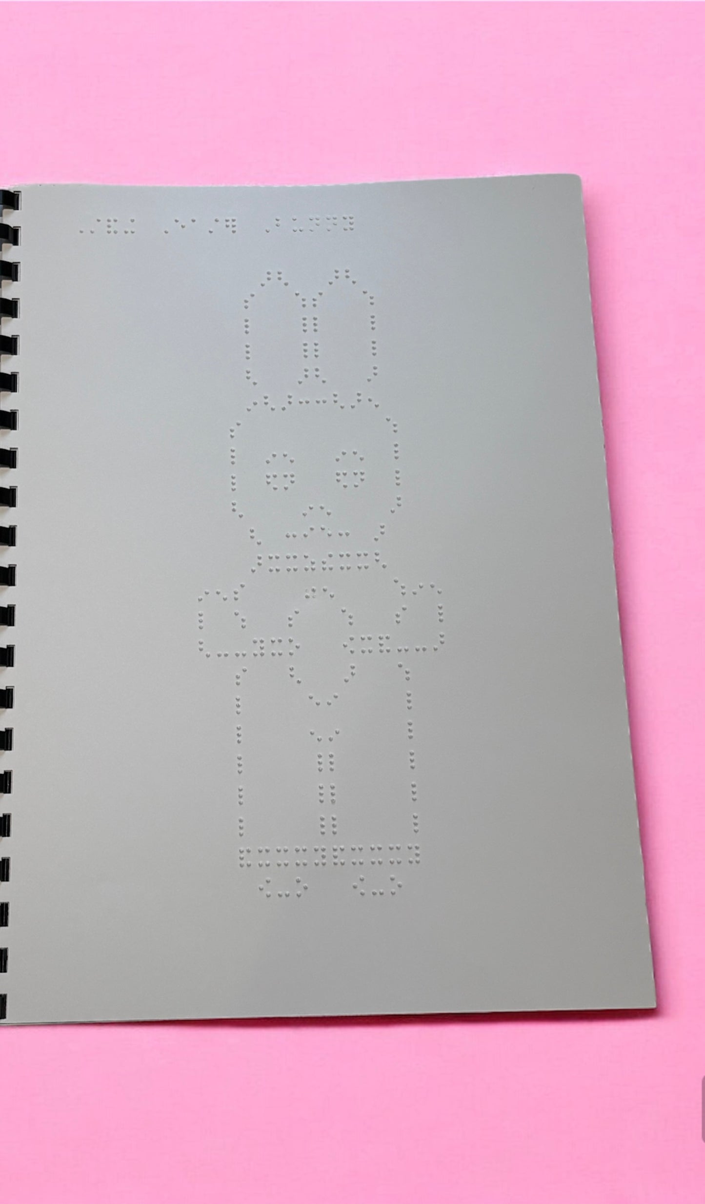 Animals, nature and Vehicles Braille Picture Book
