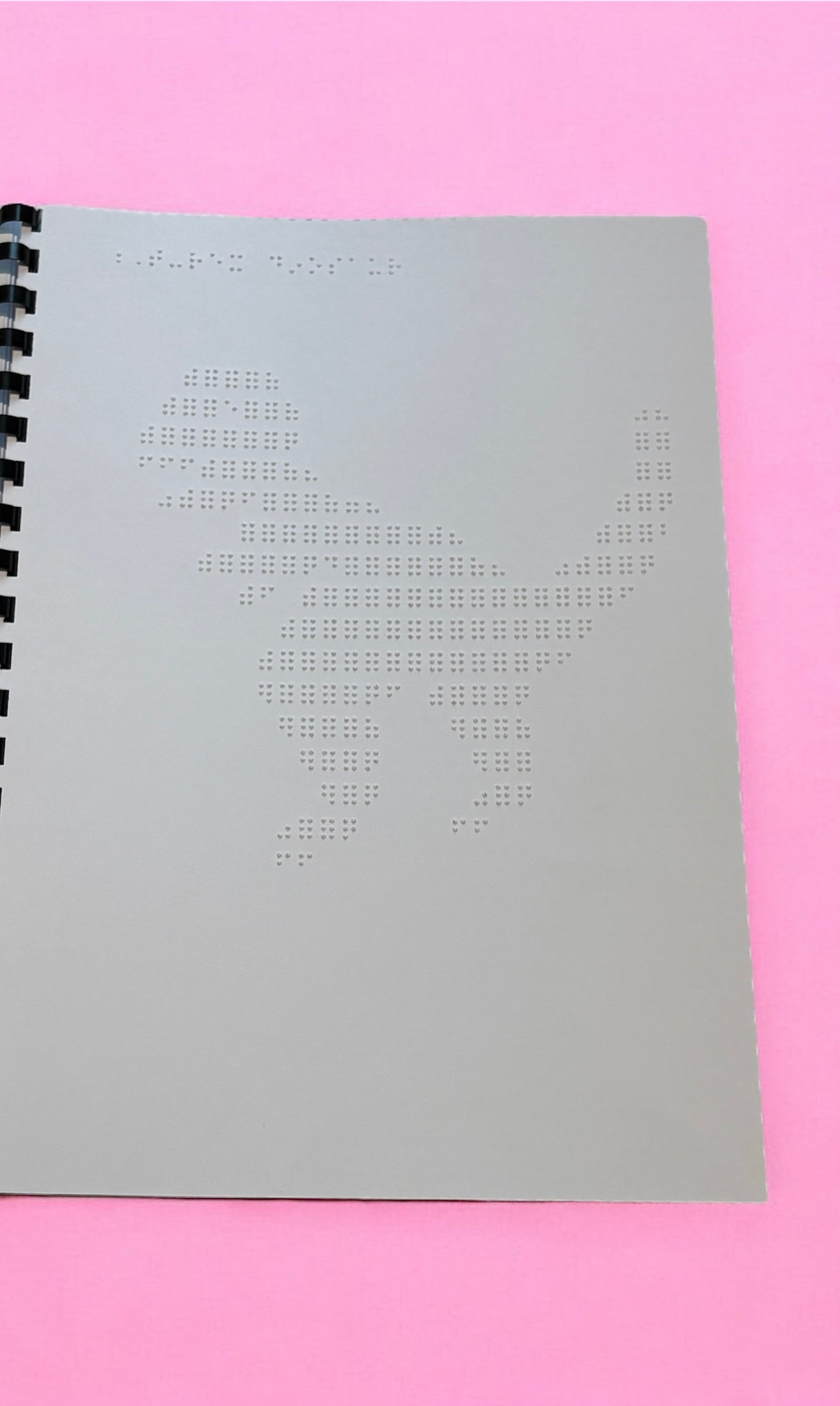 Animals, nature and Vehicles Braille Picture Book
