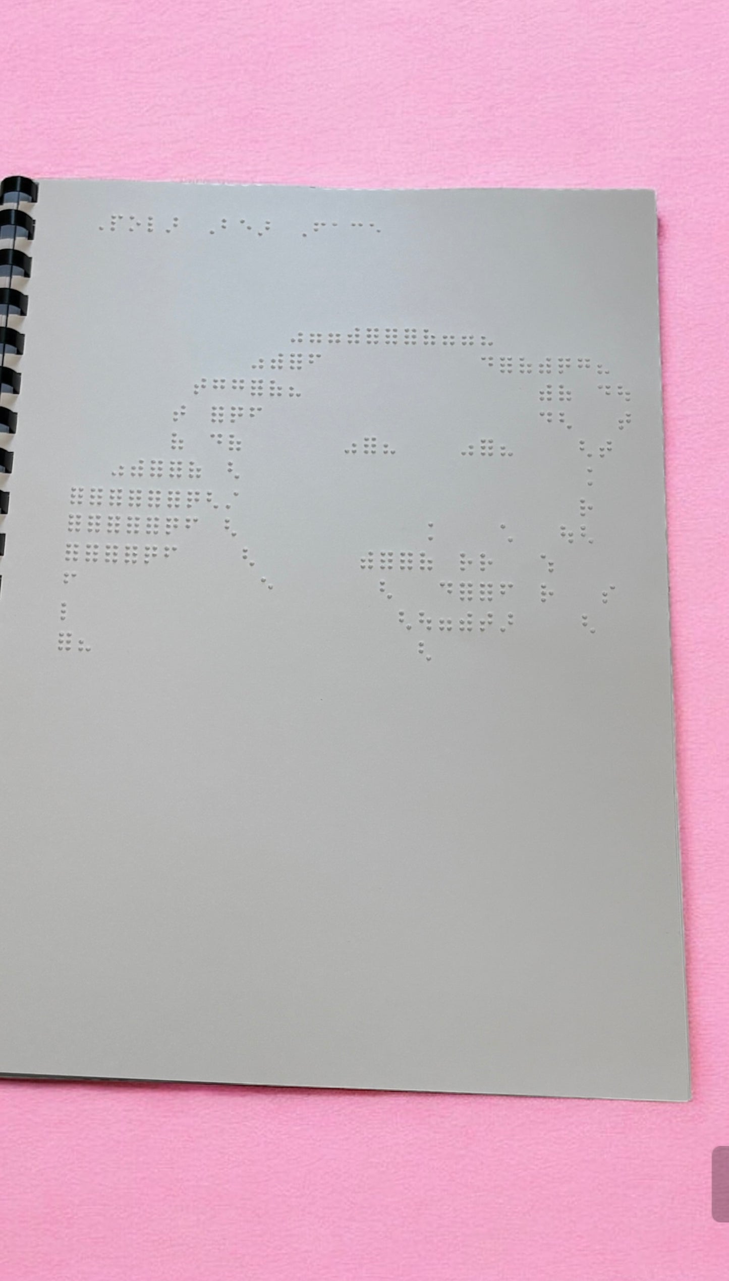 Animals, nature and Vehicles Braille Picture Book