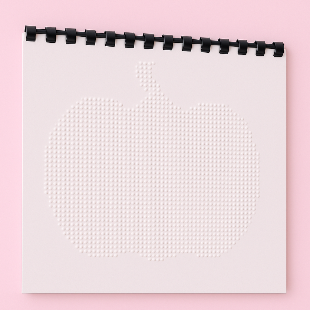 Braille Picture Book