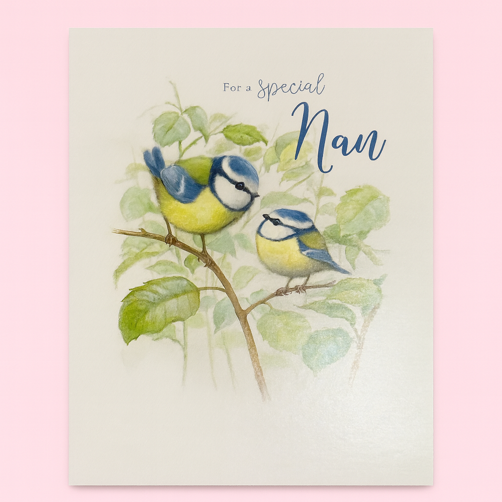 Special Nan Braille Card