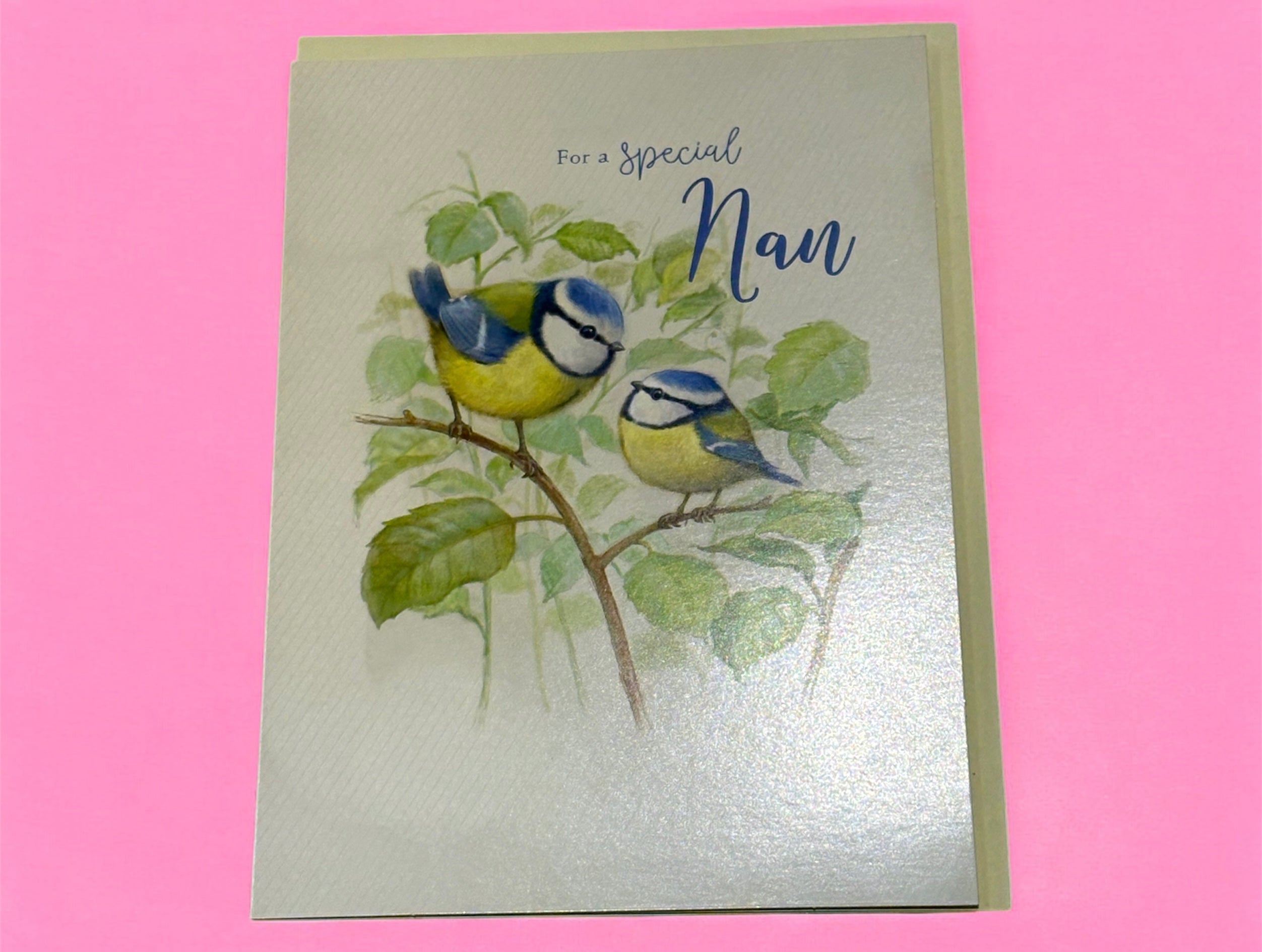 A greeting card with an illustration of two birds perched on a branch with leaves. The front of the card has braille text 'For a special Nan' and the inside is labeled 'Happy Birthday' with space for a personal message.