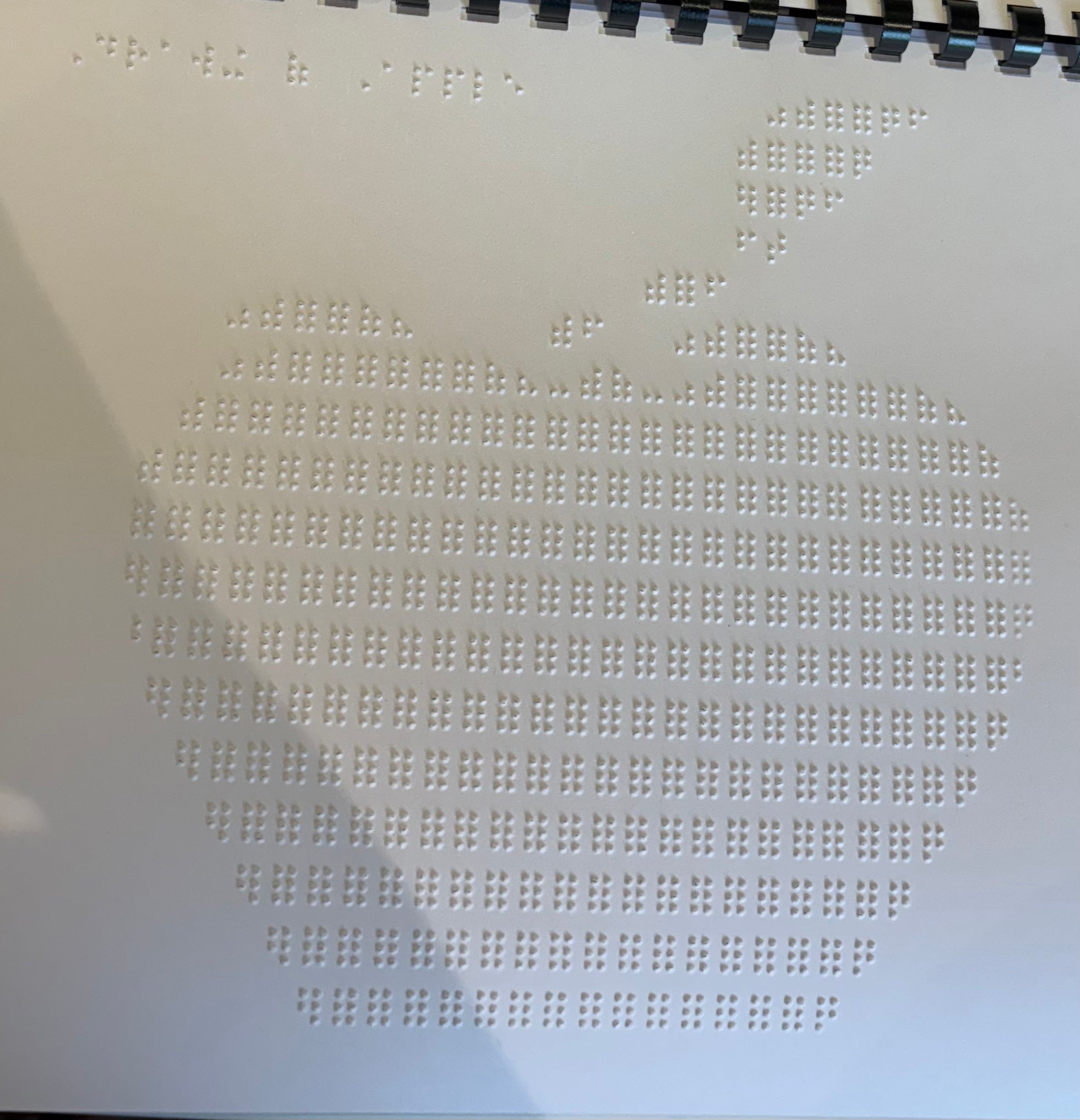 Braille Picture Book
