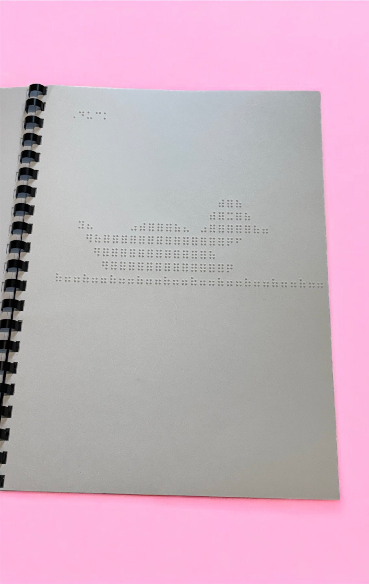 Animals, nature and Vehicles Braille Picture Book