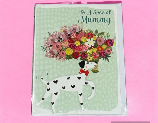 A Special Mummy Braille Card