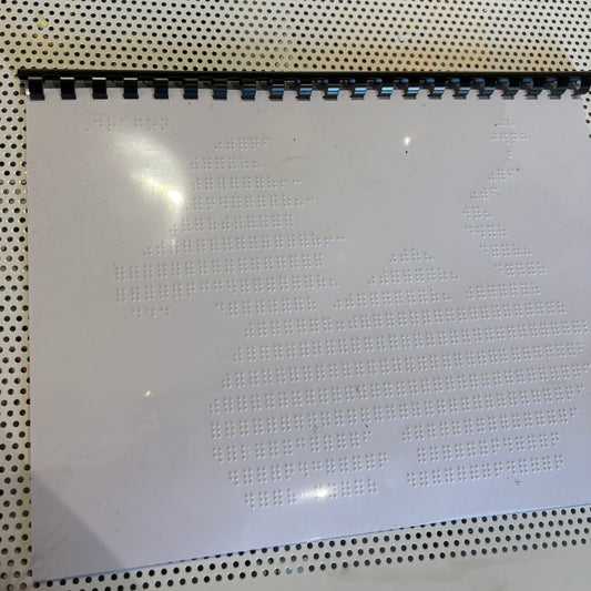Braille Picture Book