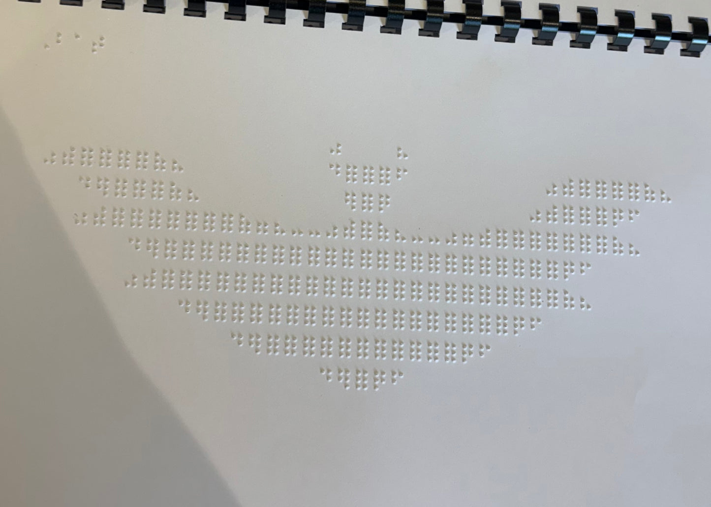 Braille Picture Book