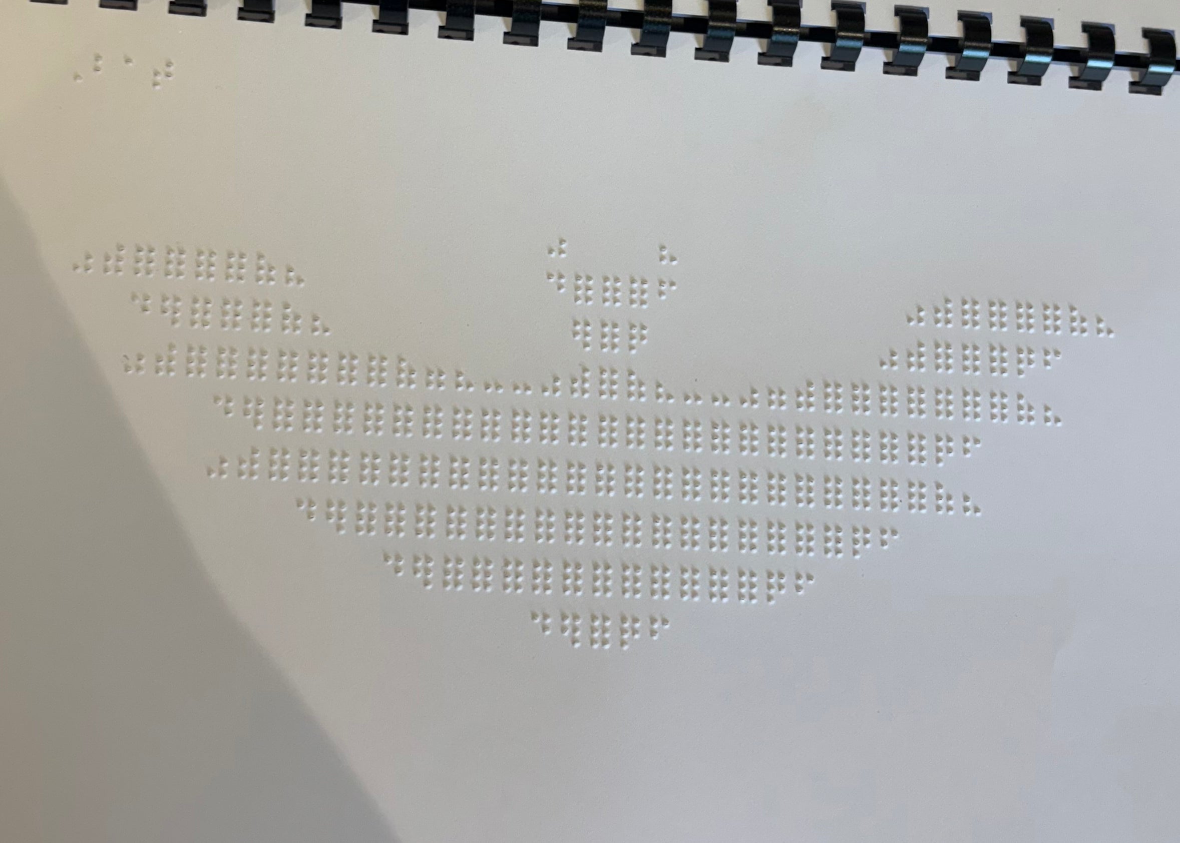 Braille Picture Book