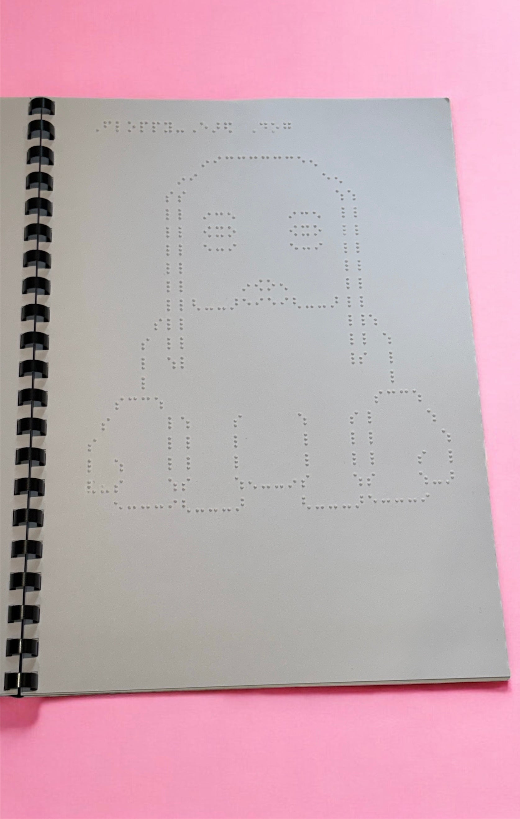 Animals, nature and Vehicles Braille Picture Book