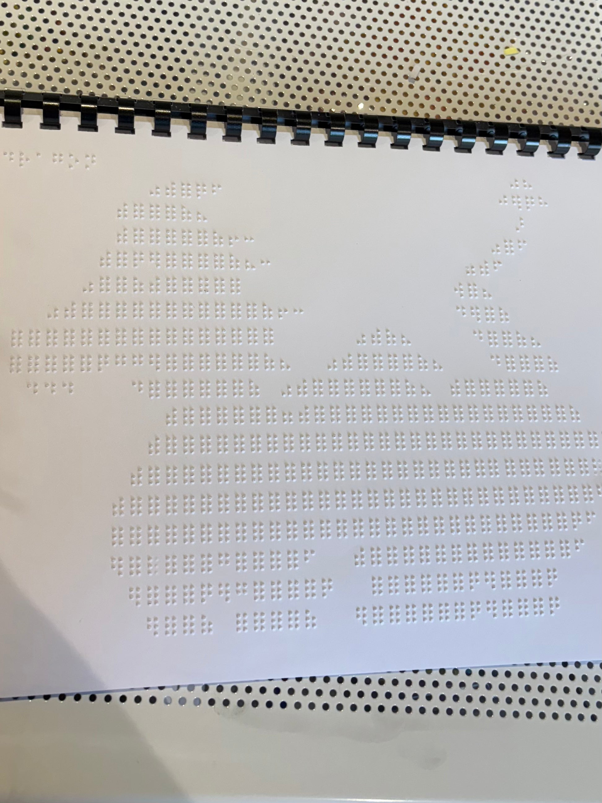 Braille Picture Book
