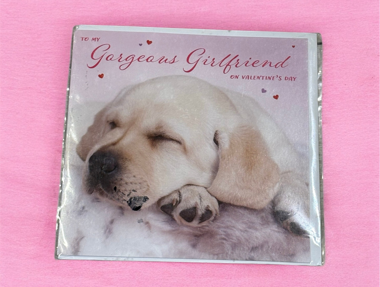 Girlfriend Valentine’s Day Braille Card