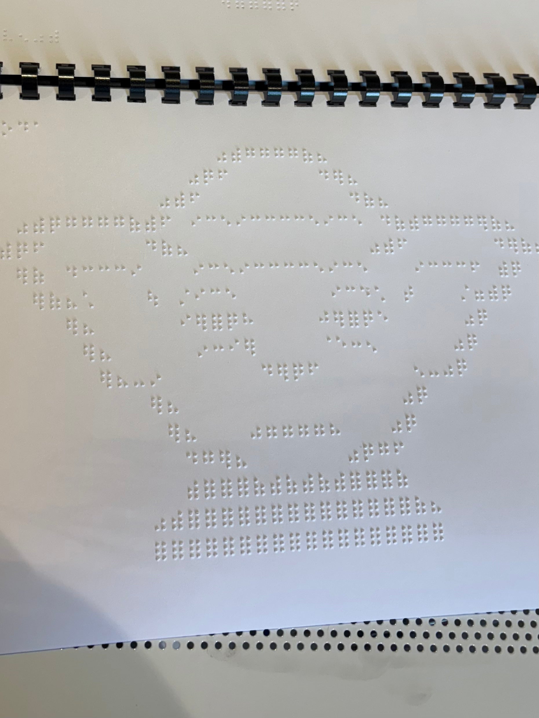 Braille Picture Book