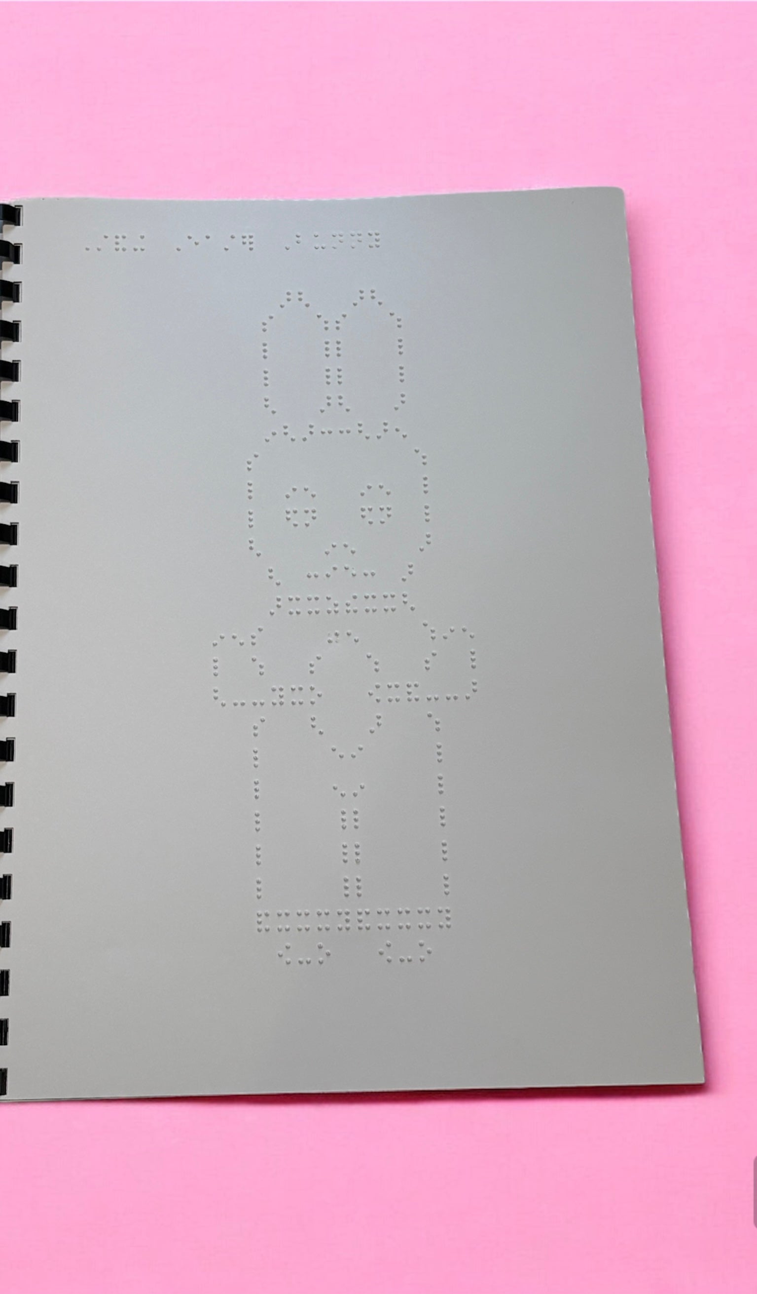 Animals, nature and Vehicles Braille Picture Book