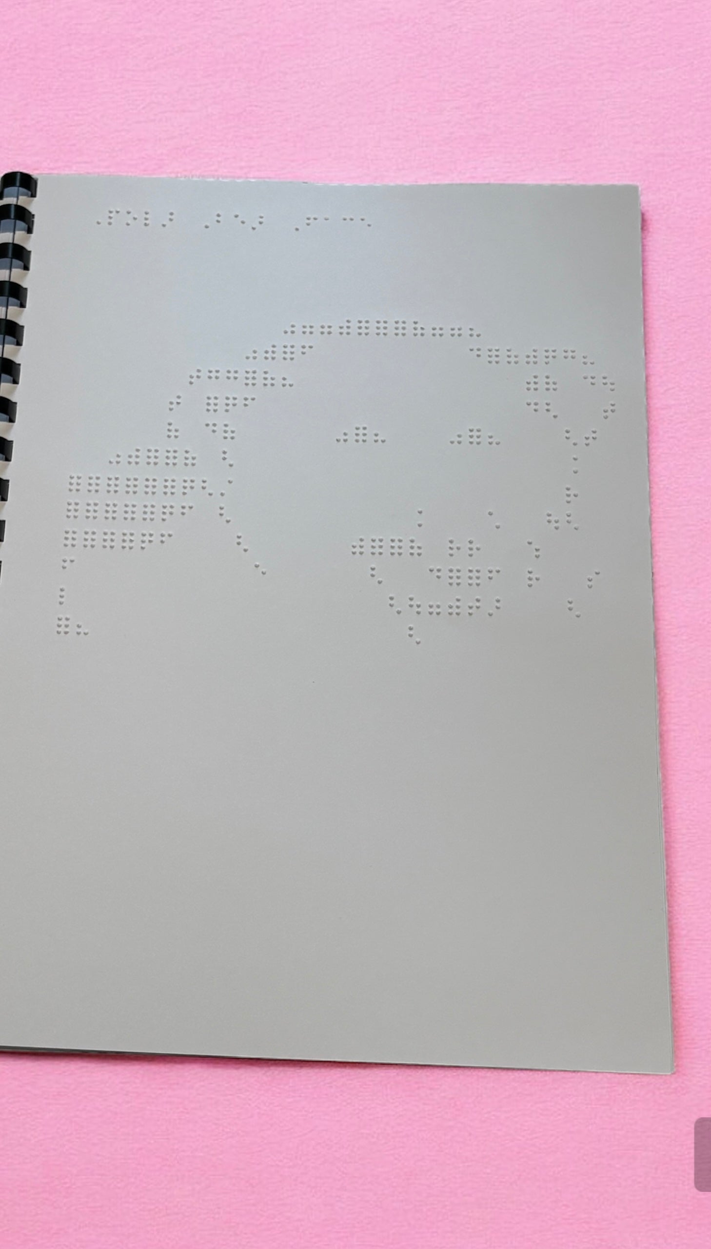 Animals, nature and Vehicles Braille Picture Book