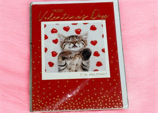 Kitten Valentine’s Day Braille Card